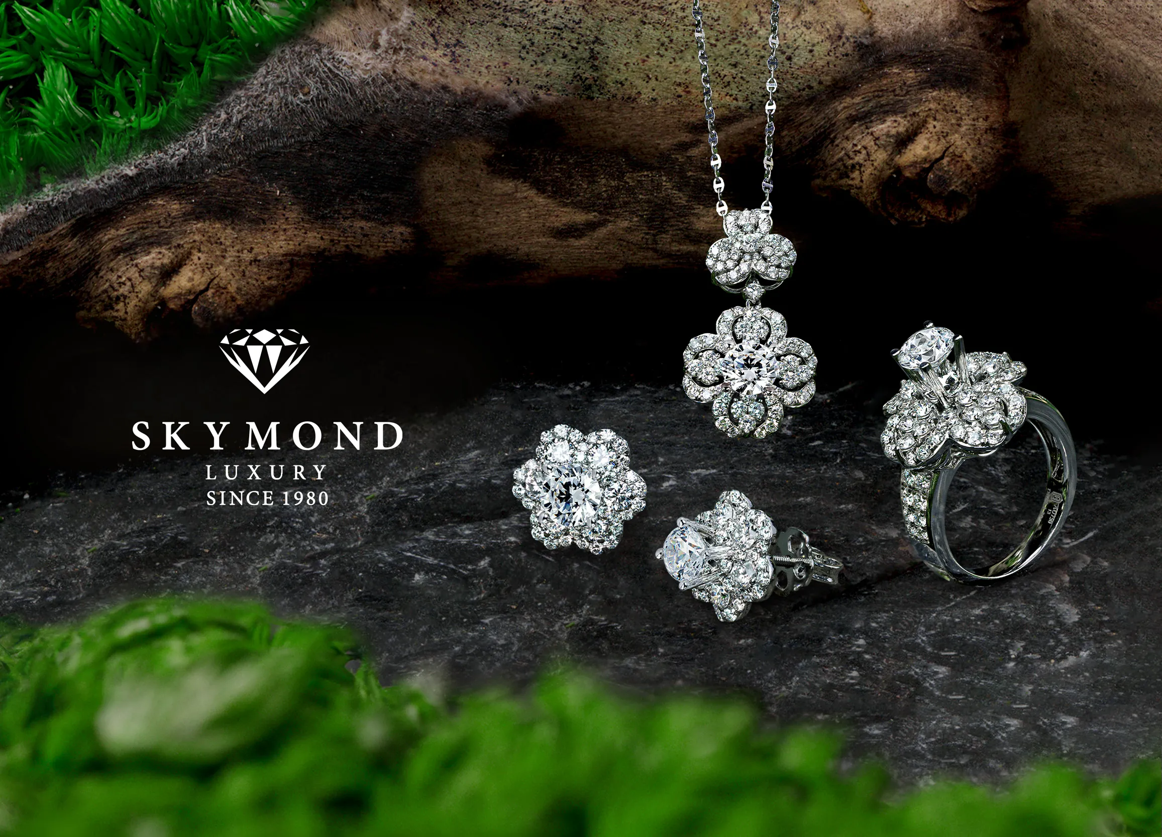 bộ sưu tập skymond