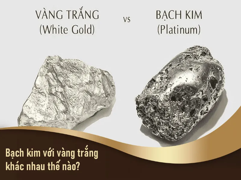 Platin là chất gì? Phân Biệt Platin và Vàng Trắng Chi Tiết Nhất – Kim Loại Nào Tốt Hơn?