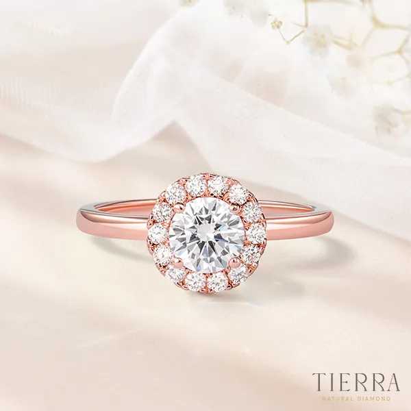 nhẫn cầu hôn tierra