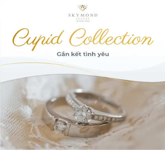 Trag sức bạch kim hàng đầu Việt Nam